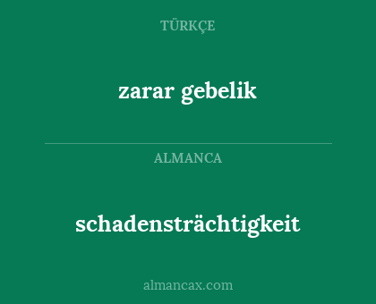 schadensträchtigkeit - zarar gebelik