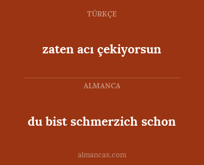 du bist schmerzich schon - zaten acı çekiyorsun