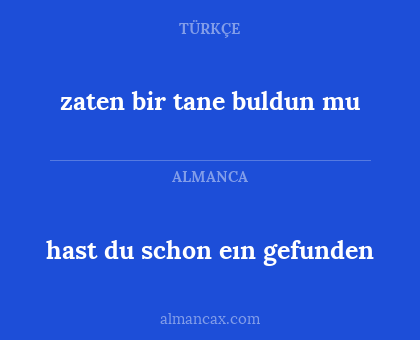 zaten bir tane buldun mu - hast du schon eın gefunden