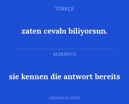 sie kennen die antwort bereits - zaten cevabı biliyorsun.