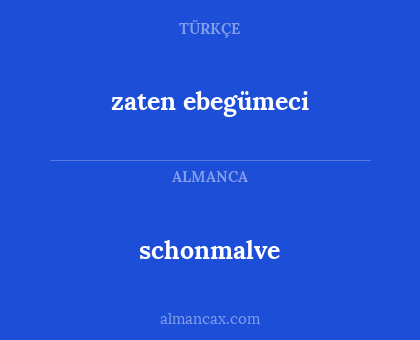 schonmalve - zaten ebegümeci