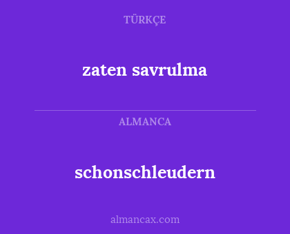 schonschleudern - zaten savrulma