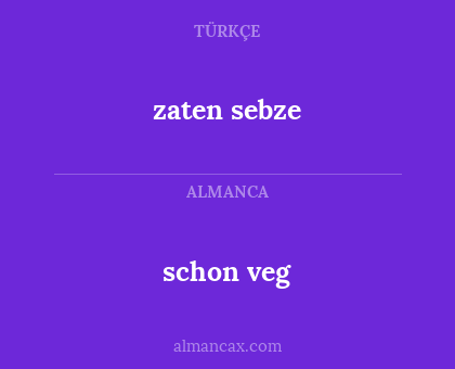 schon veg - zaten sebze