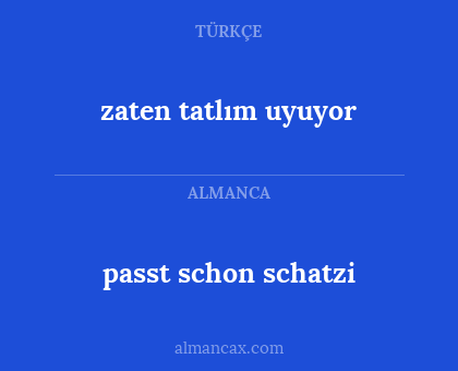 passt schon schatzi - zaten tatlım uyuyor