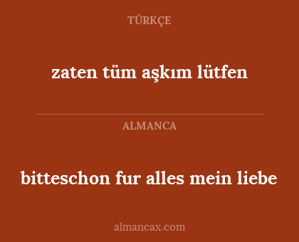 bitteschon fur alles mein liebe - zaten tüm aşkım lütfen