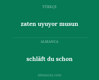 zaten uyuyor musun - schläft du schon