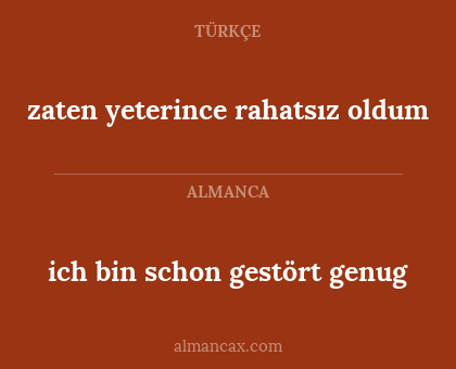 ich bin schon gestört genug - zaten yeterince rahatsız oldum
