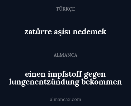 einen impfstoff gegen lungenentzündung bekommen - zatürre aşisı nedemek