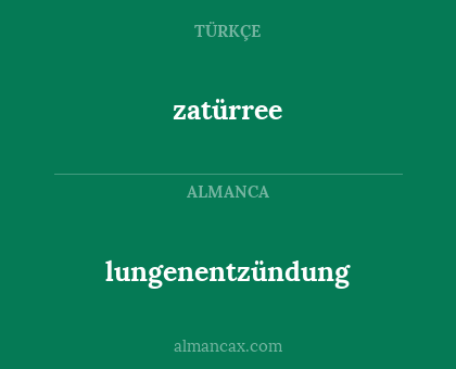 lungenentzündung - zatürree