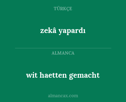 zekâ yapardı - wit haetten gemacht