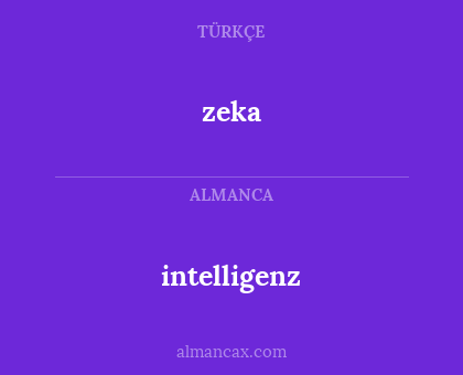 intelligenz - zeka