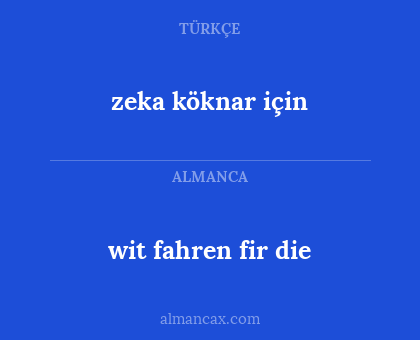 zeka köknar için - wit fahren fir die