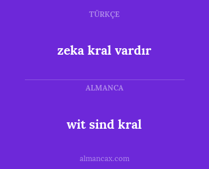 wit sind kral - zeka kral vardır