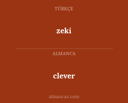 clever - zeki