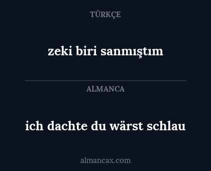 ich dachte du wärst schlau - zeki biri sanmıştım