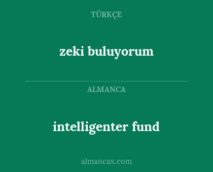 zeki buluyorum - intelligenter fund