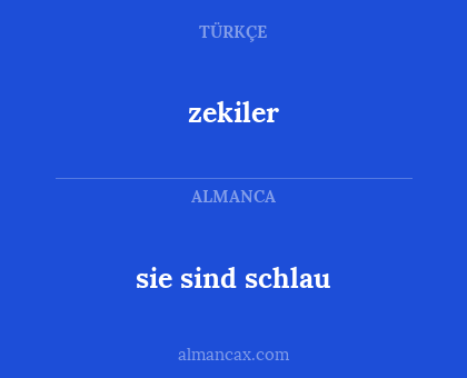 sie sind schlau - zekiler
