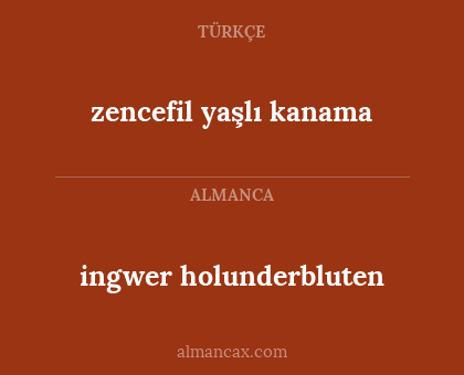 zencefil yaşlı kanama - ingwer holunderbluten