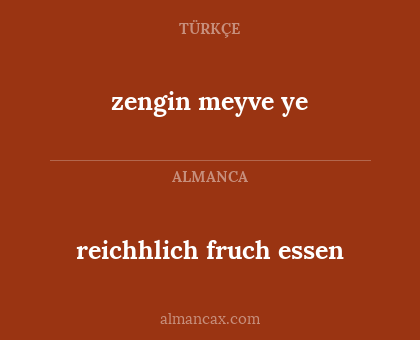 reichhlich fruch essen - zengin meyve ye