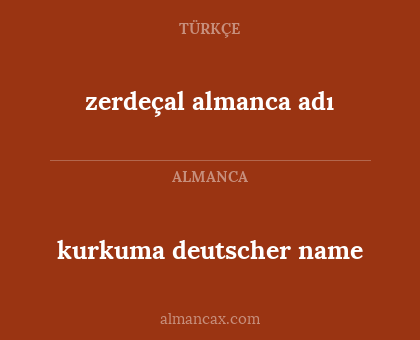 zerdeçal almanca adı - kurkuma deutscher name