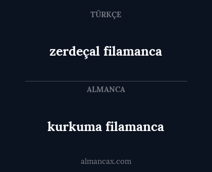zerdeçal filamanca - kurkuma filamanca