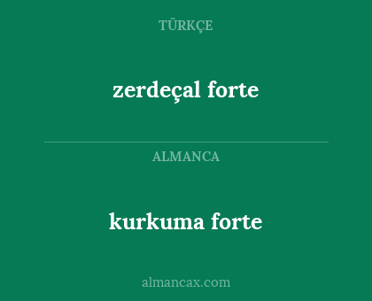 zerdeçal forte - kurkuma forte