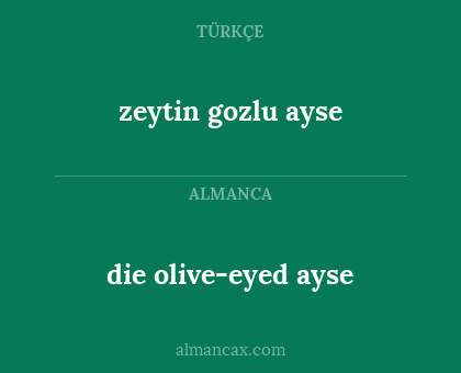 zeytin gozlu ayse - die olive-eyed ayse