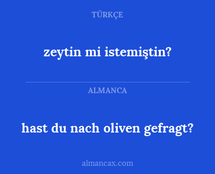 hast du nach oliven gefragt? - zeytin mi istemiştin?
