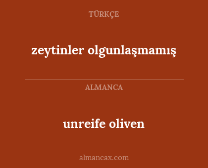 unreife oliven - zeytinler olgunlaşmamış