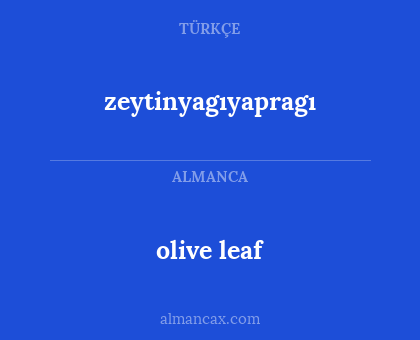 olive leaf - zeytinyagıyapragı