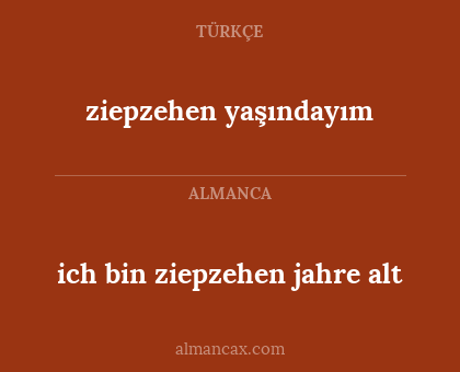 ich bin ziepzehen jahre alt - ziepzehen yaşındayım
