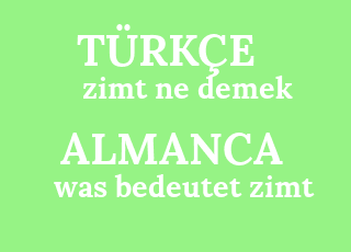 zimt+ne+demek-was+bedeutet+zimt.png