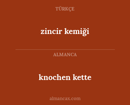 zincir kemiği - knochen kette