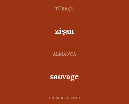 sauvage - zişan