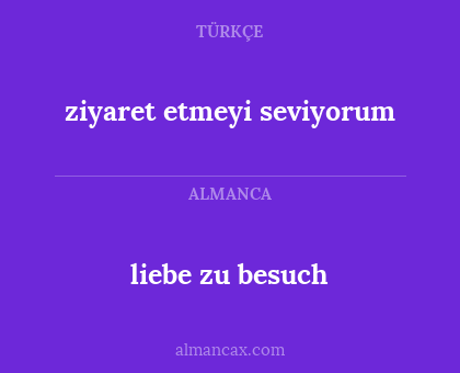 liebe zu besuch - ziyaret etmeyi seviyorum