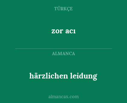 härzlichen leidung - zor acı