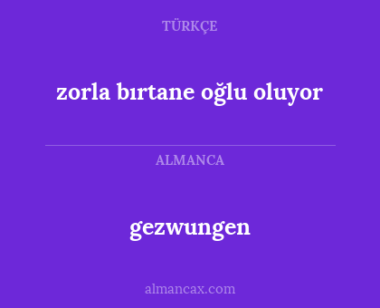 gezwungen - zorla bırtane oğlu oluyor
