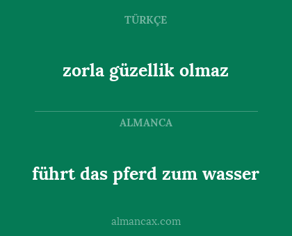 zorla güzellik olmaz - führt das pferd zum wasser