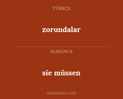 sie müssen - zorundalar