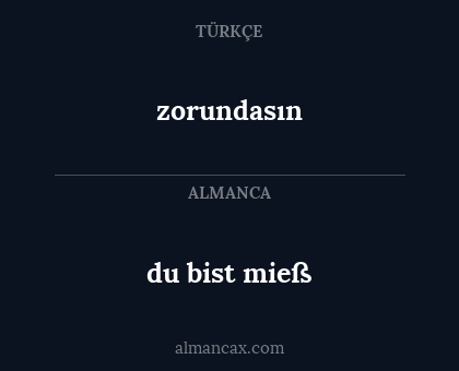 zorundasın - du bist mieß