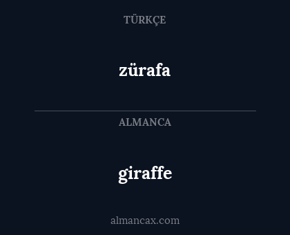 zürafa - giraffe