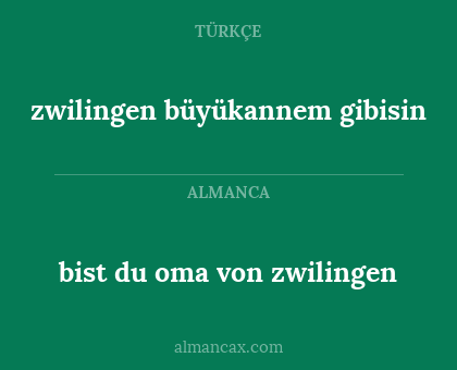 zwilingen büyükannem gibisin - bist du oma von zwilingen