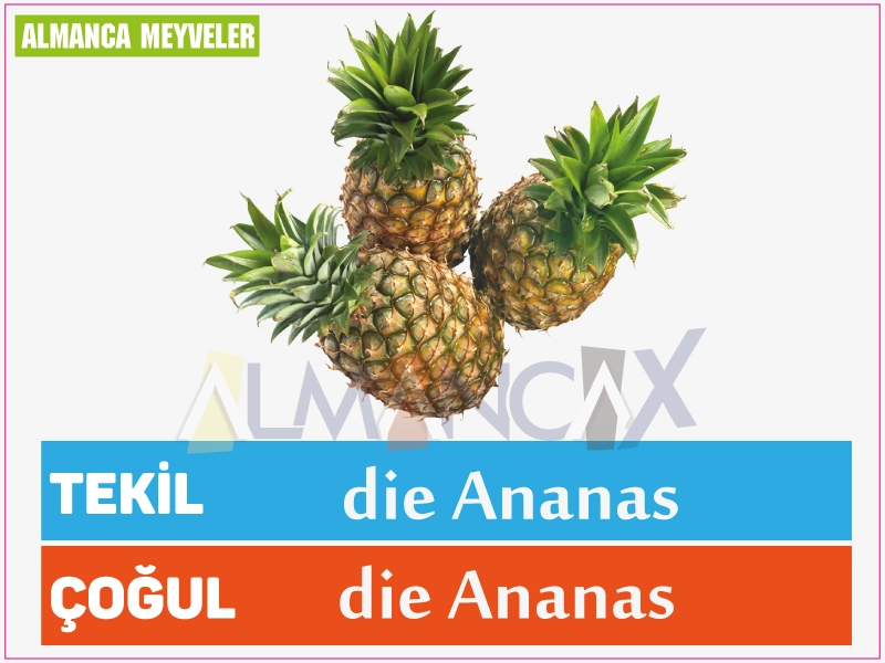 German Pineapple Txiv Hmab Txiv Ntoo