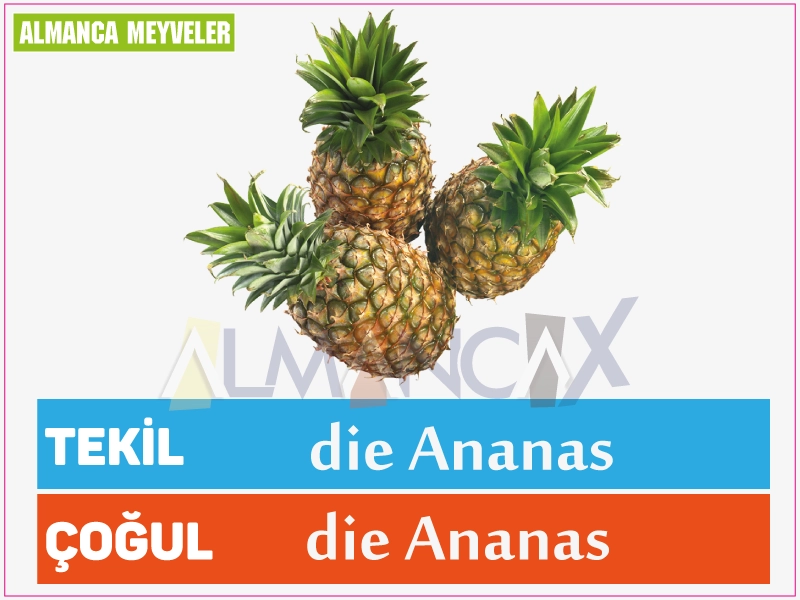 Fructe germane 21 Fruct de ananas german
