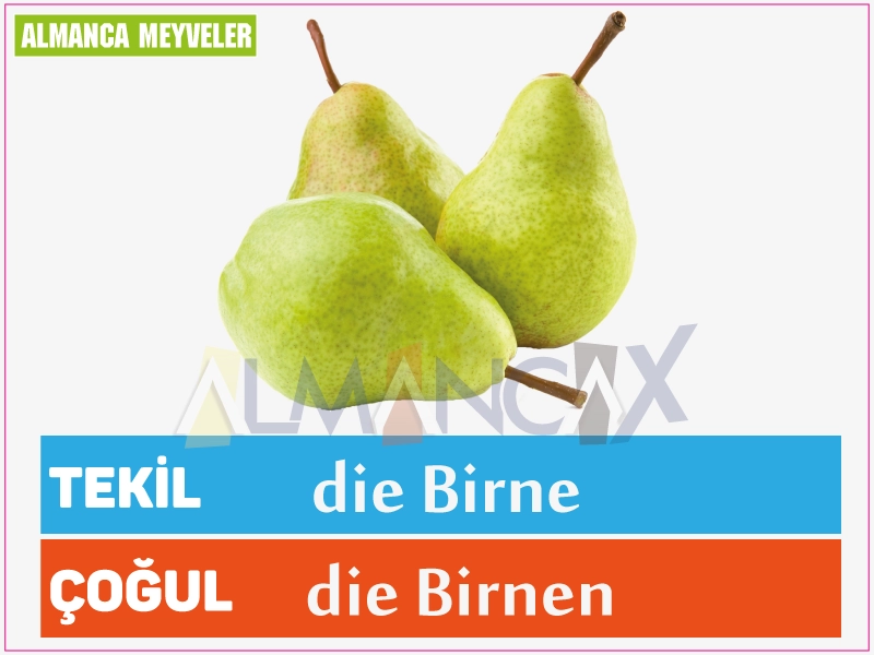 Fructe germane 2 Fruct de pere german