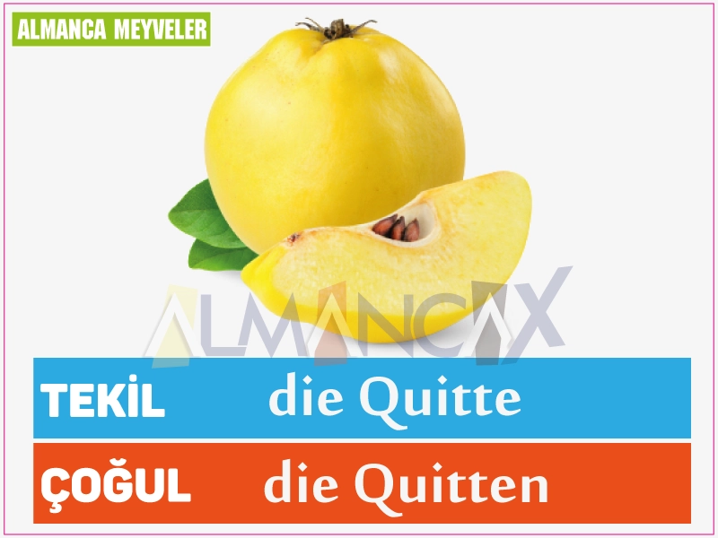 Fructe germane 6 Fructul de gutui german