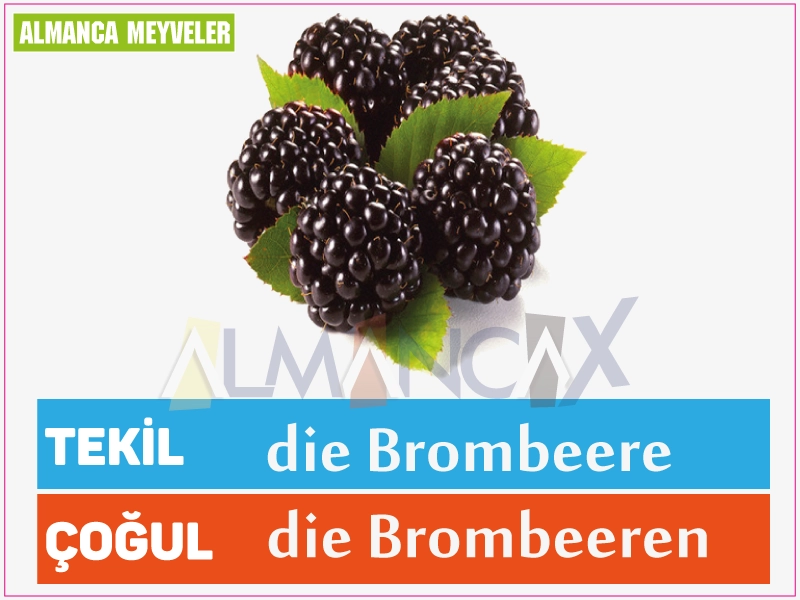 Blackberry Fruit German