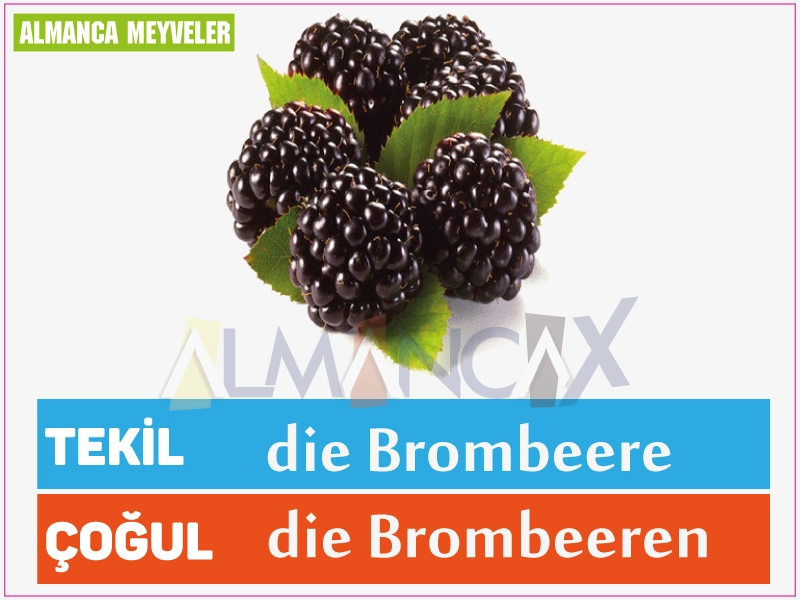 Fructe germane 19 Fruct de mure german