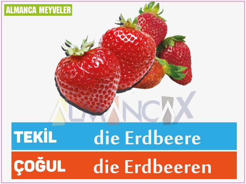 Fructe de căpșuni germane