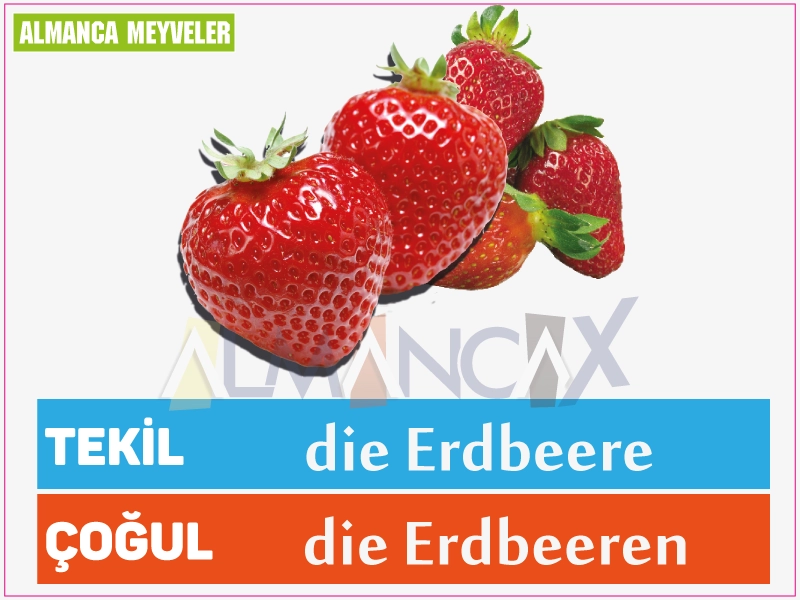 Fructe germane 18 Fructe de căpșuni germane